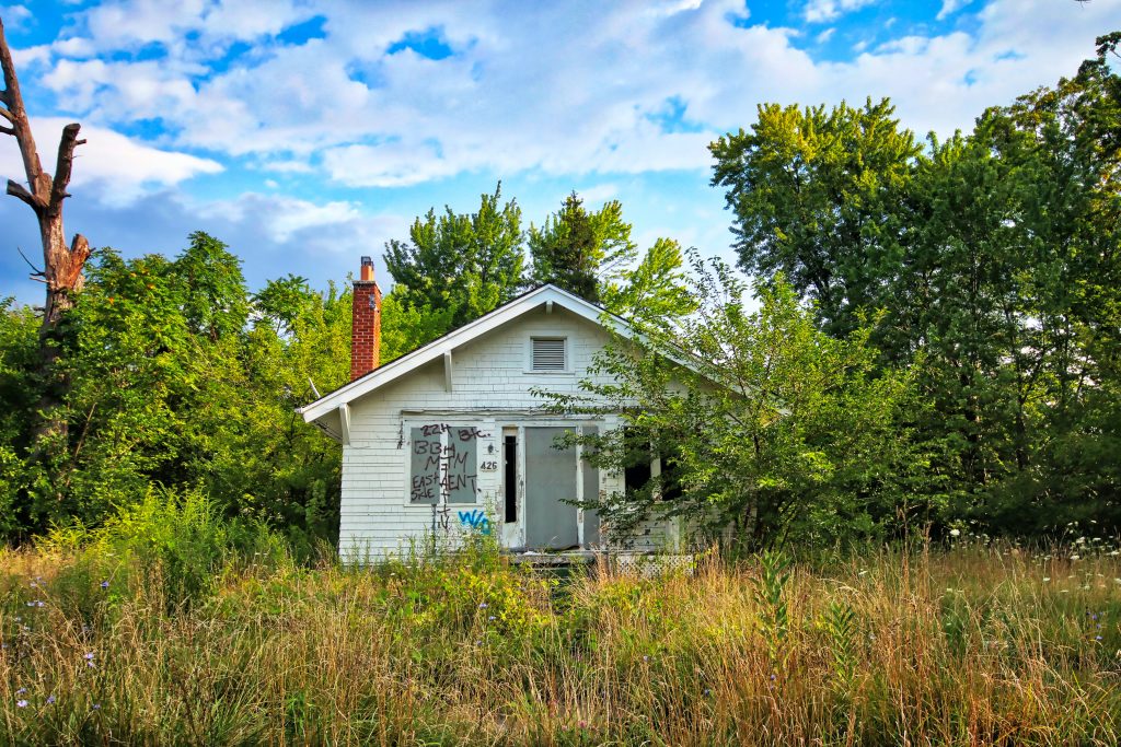 What to Do About an Abandoned House on Your Street 2 An abandoned house way back in the weeds by a forest.